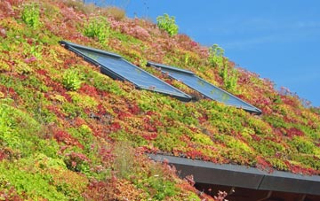 Morfa Bychan living roof systems